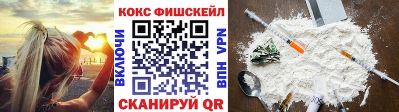 где купить   Клинцы  Cocaine Fish Scale 