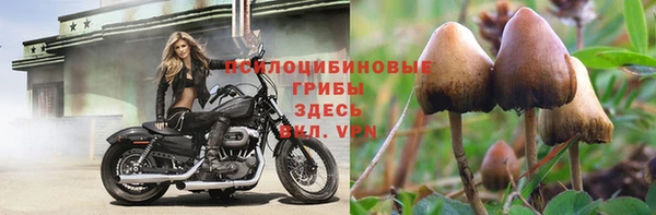 соль ск Лабытнанги