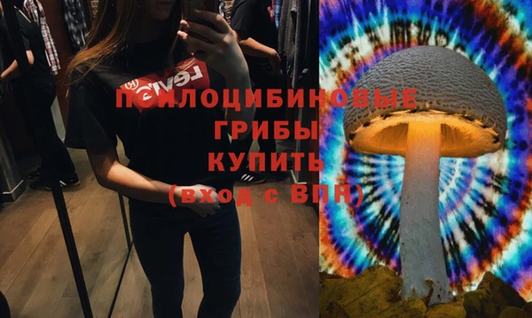 соль ск Лабытнанги