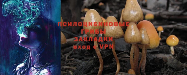 мдпв Лагань