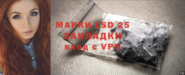 мдпв Лагань
