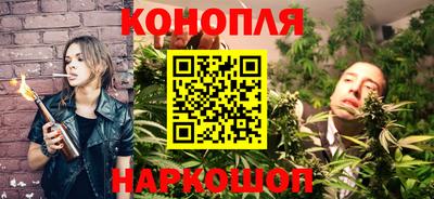 прущие грибы Волжск