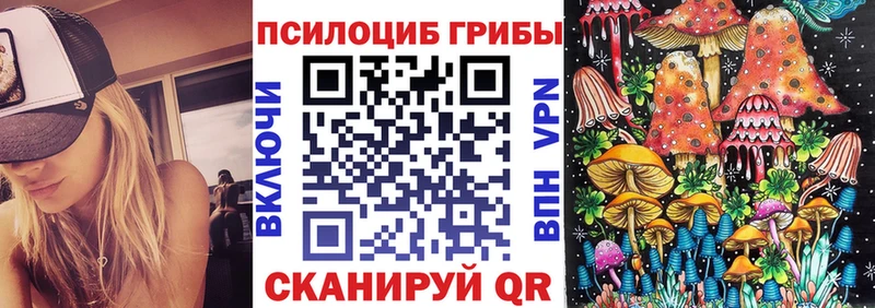 хочу наркоту  Клинцы  Псилоцибиновые грибы мицелий 