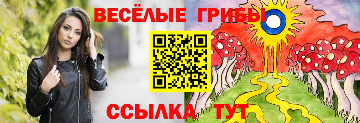 Клинцы  Псилоцибиновые грибы Psilocybine cubensis  Вход с VPN 