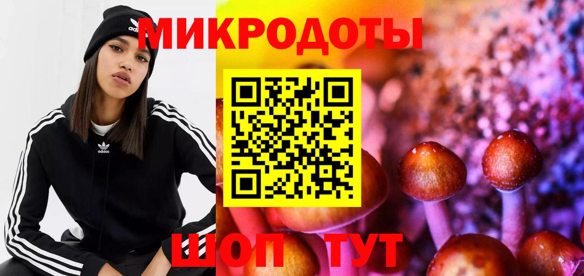 Псилоцибиновые грибы Psilocybine cubensis Клинцы